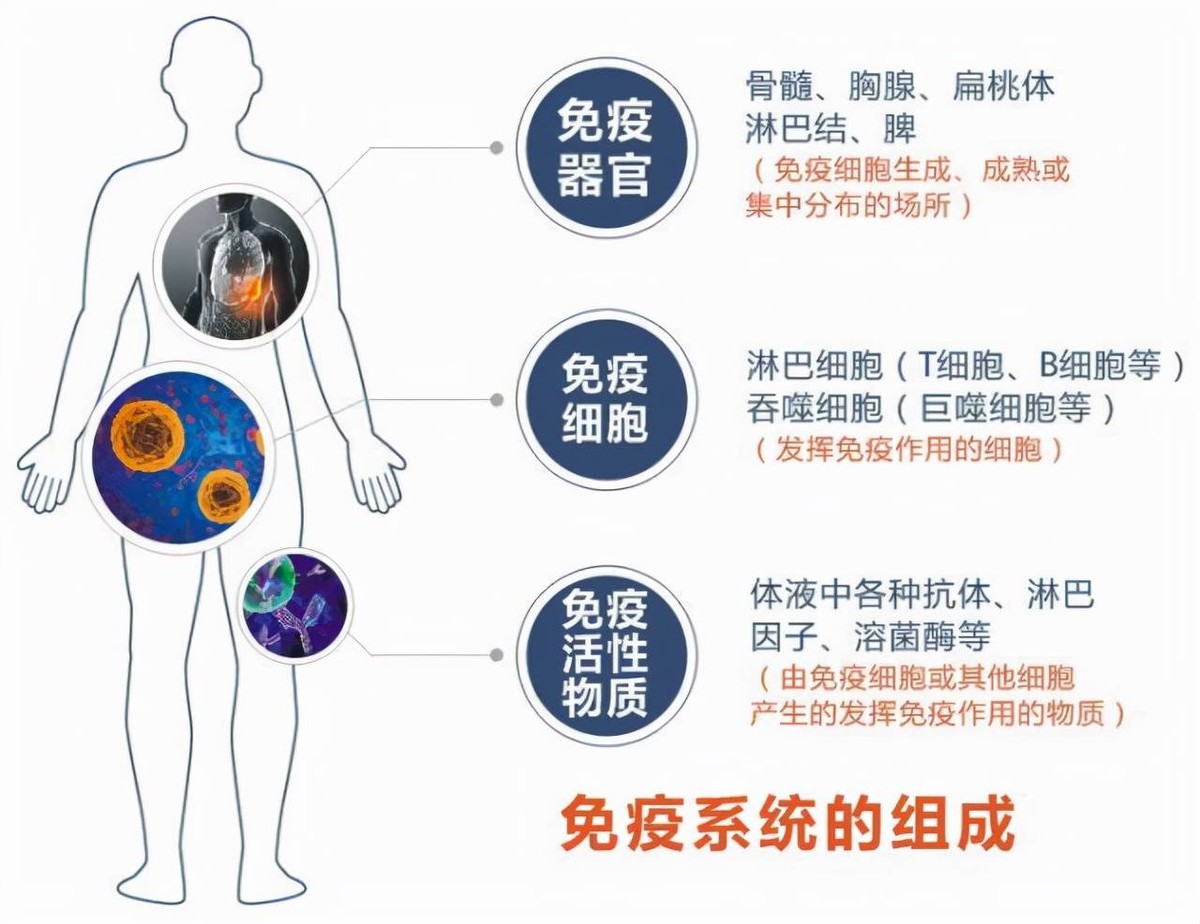 地球上的万物相生相克，为何没听说过病毒的天敌？病毒怕什么？990 / 作者:蓝蓝的彩 / 帖子ID:130087