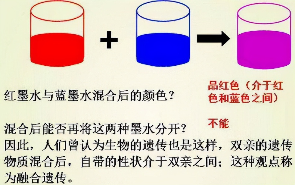 达尔文被实锤错误,无数科学家填漏,进化论究竟应该信还是不信?127 / 作者:意大之 / 帖子ID:130235 达尔文被实锤错误,无数科学家填漏,进化论究竟应该信还是不信?127 / 作者:意大之 / 帖子ID:130235