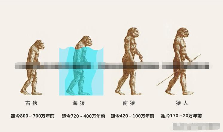 从生物进化的角度分析「美人鱼」是否存在587 / 作者:单丁鹤纷 / 帖子ID:129745