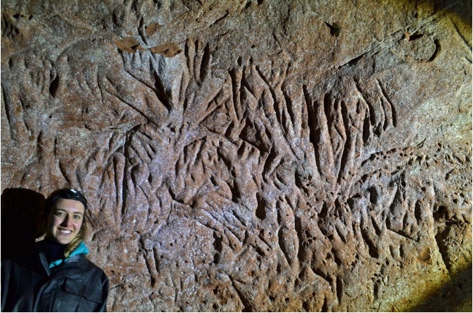 巴西13000年前的隧道，科学家研究后确认：建造者不是人类99 / 作者:绘粹凭 / 帖子ID:129439