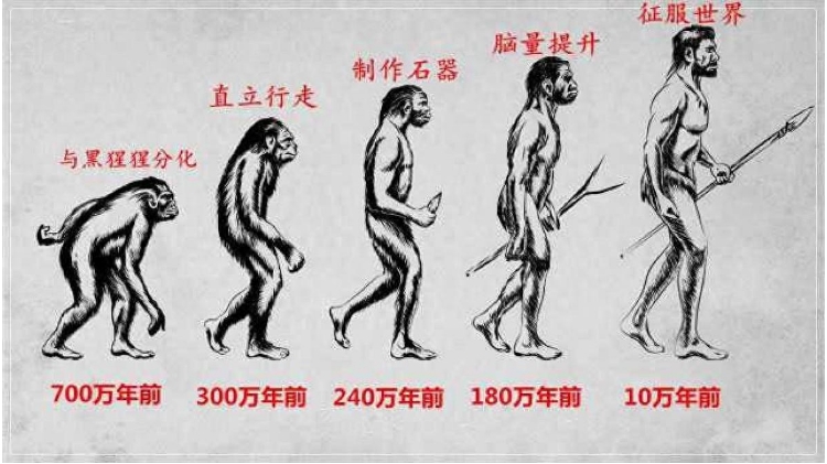 原来在动物眼里，人类叫做“恐怖直立猿”？直立行走真的很恐怖？91 / 作者:aygx / 帖子ID:129574
