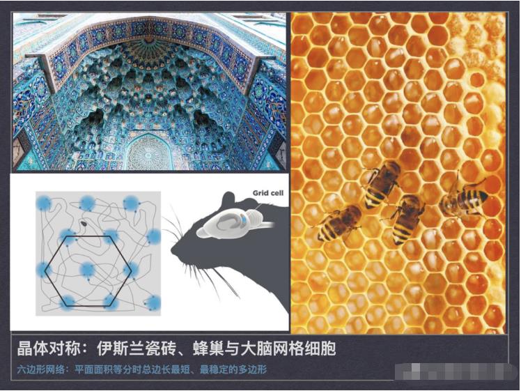 对称性破缺与涌现——复杂科学与艺术之间的共鸣520 / 作者:单丁鹤纷 / 帖子ID:129988 对称性破缺与涌现——复杂科学与艺术之间的共鸣520 / 作者:单丁鹤纷 / 帖子ID:129988