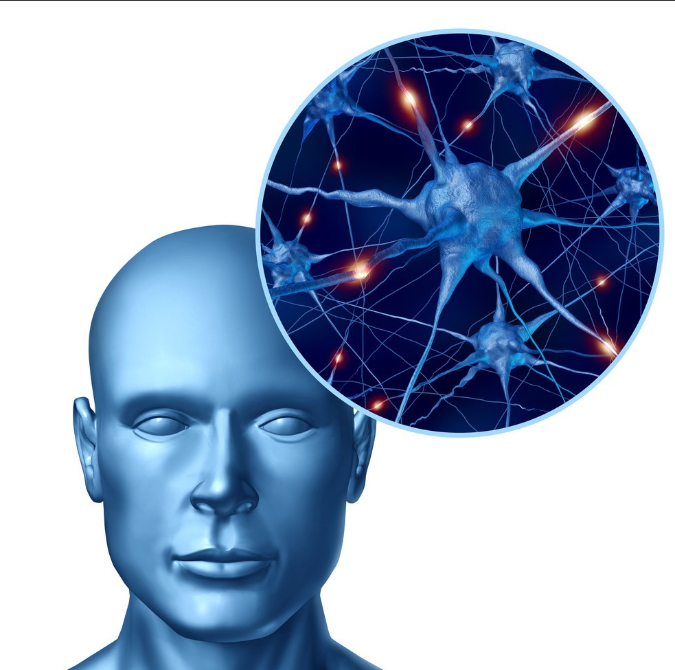 人类智慧从何而来？科学家的新发现：揭示人类文明诞生的真相214 / 作者:涵涵爸爸520 / 帖子ID:130035