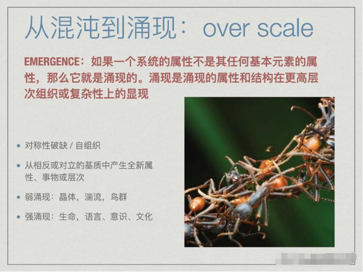 对称性破缺与涌现——复杂科学与艺术之间的共鸣103 / 作者:单丁鹤纷 / 帖子ID:129988 对称性破缺与涌现——复杂科学与艺术之间的共鸣103 / 作者:单丁鹤纷 / 帖子ID:129988