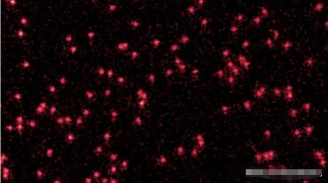 世界真的只是一堆可能性?科学家首次拍到粒子和波相互转化的场景987 / 作者:我好人二三搅 / 帖子ID:129379 世界真的只是一堆可能性?科学家首次拍到粒子和波相互转化的场景987 / 作者:我好人二三搅 / 帖子ID:129379
