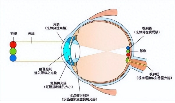 解读四维空间，人类为什么想象不出四维空间？773 / 作者:露水珠珠 / 帖子ID:129418
