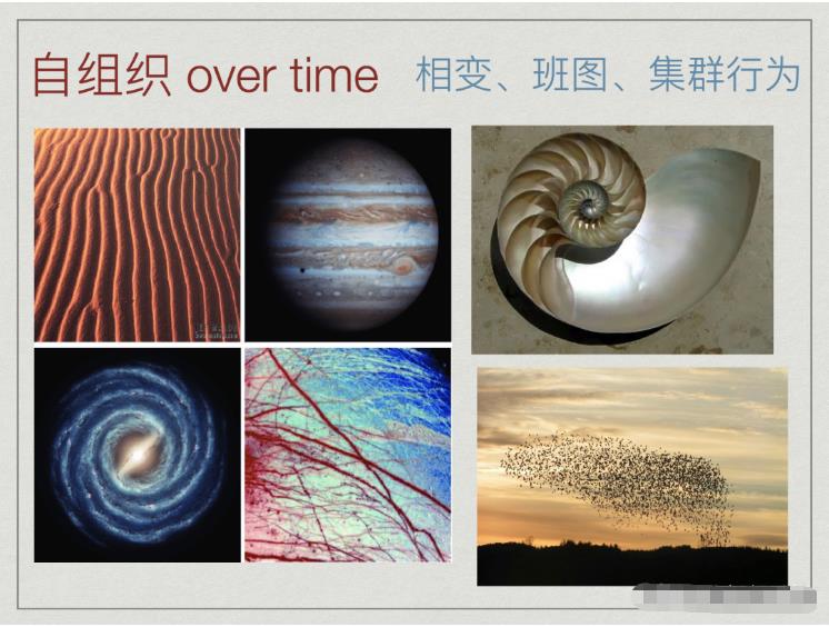 对称性破缺与涌现——复杂科学与艺术之间的共鸣705 / 作者:单丁鹤纷 / 帖子ID:129988 对称性破缺与涌现——复杂科学与艺术之间的共鸣705 / 作者:单丁鹤纷 / 帖子ID:129988