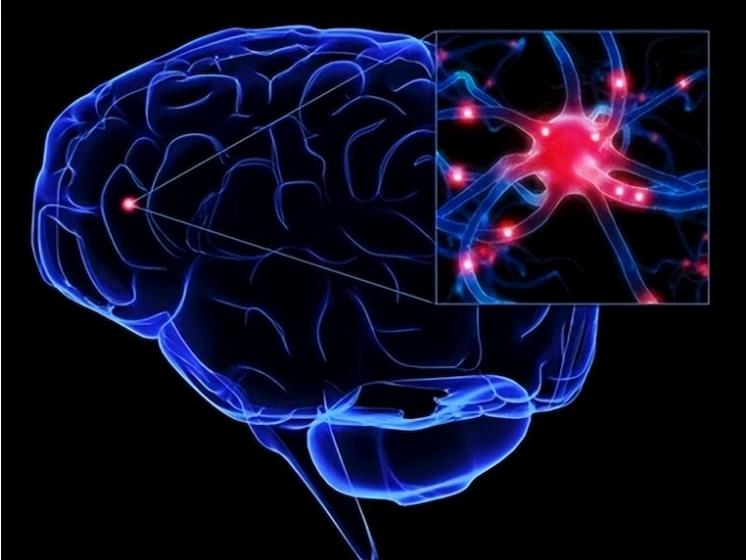 人类智慧从何而来？科学家的新发现：揭示人类文明诞生的真相39 / 作者:涵涵爸爸520 / 帖子ID:130035
