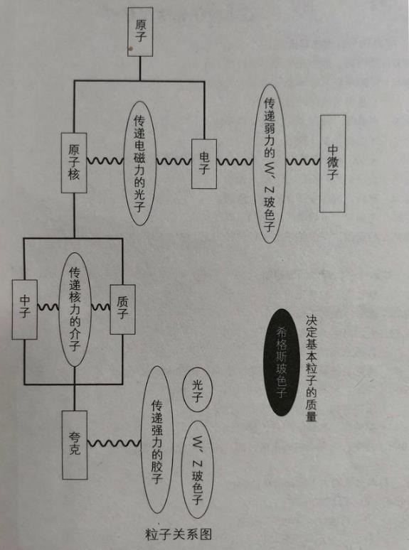光速为何这么快？如何达到30万km/s？科学家：光不快是万物慢了！189 / 作者:涵涵爸爸520 / 帖子ID:129789