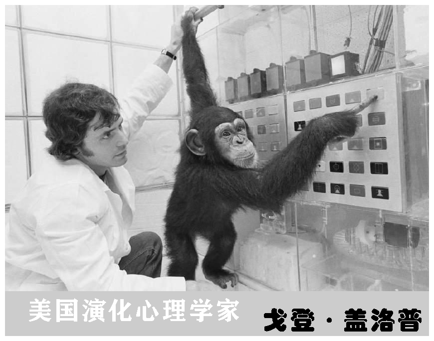 人类智慧从何而来？科学家的新发现：揭示人类文明诞生的真相46 / 作者:涵涵爸爸520 / 帖子ID:130035