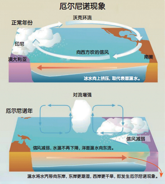 “蝴蝶效应”是否真的存在？744 / 作者:露水珠珠 / 帖子ID:130453