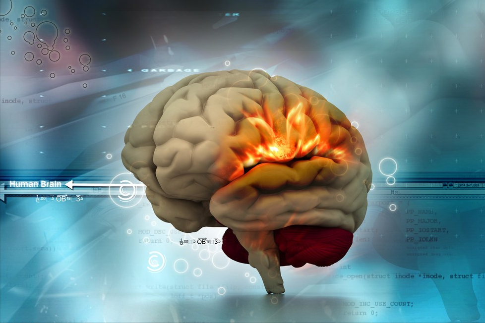 人类智慧从何而来？科学家的新发现：揭示人类文明诞生的真相886 / 作者:涵涵爸爸520 / 帖子ID:130035