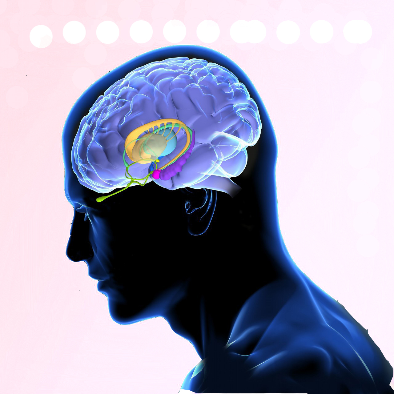 人类智慧从何而来？科学家的新发现：揭示人类文明诞生的真相369 / 作者:涵涵爸爸520 / 帖子ID:130035