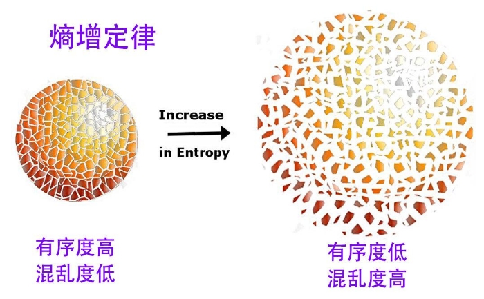 物理学界的革命：一旦此人理论被证实，现有规律或面临重写的命运231 / 作者:阿拉斯加他爸爸 / 帖子ID:129491