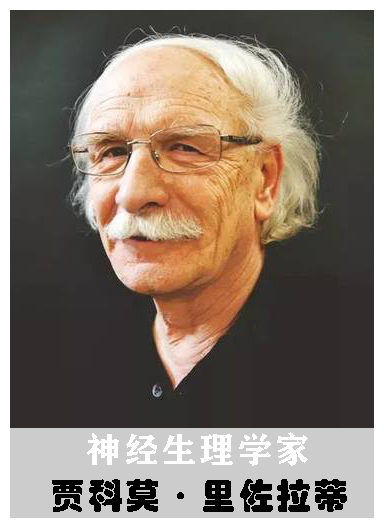 人类智慧从何而来？科学家的新发现：揭示人类文明诞生的真相205 / 作者:涵涵爸爸520 / 帖子ID:130035