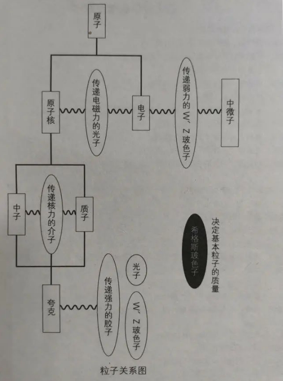 众多粒子中，为何光子的速度能达到光速，其他粒子为什么达不到？32 / 作者:smile929 / 帖子ID:129629