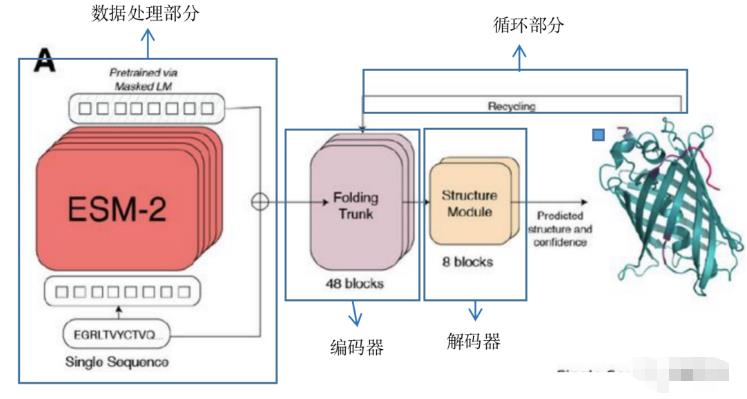 AlphaFold对手来了：Meta预测6亿“暗物质”蛋白，仅用2周完成691 / 作者:啵啵小奥特 / 帖子ID:129970