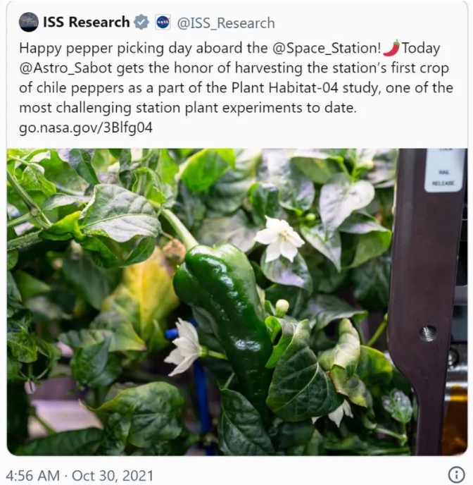 航天员如何在太空中自给自足？或许可以“吃”小行星！12 / 作者:阿拉斯加他爸爸 / 帖子ID:129357