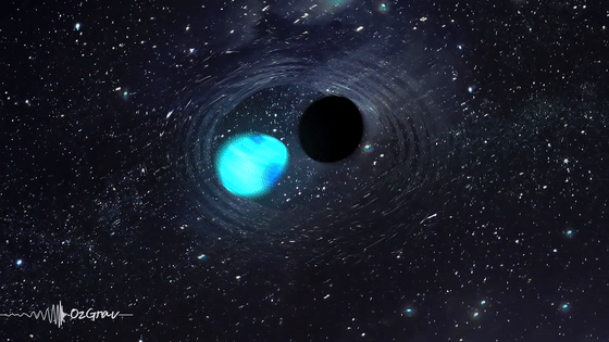黑洞与中子星相遇，是将其吃掉还是被撑死？科学家已拍到真实场景337 / 作者:蓝蓝的彩 / 帖子ID:130672
