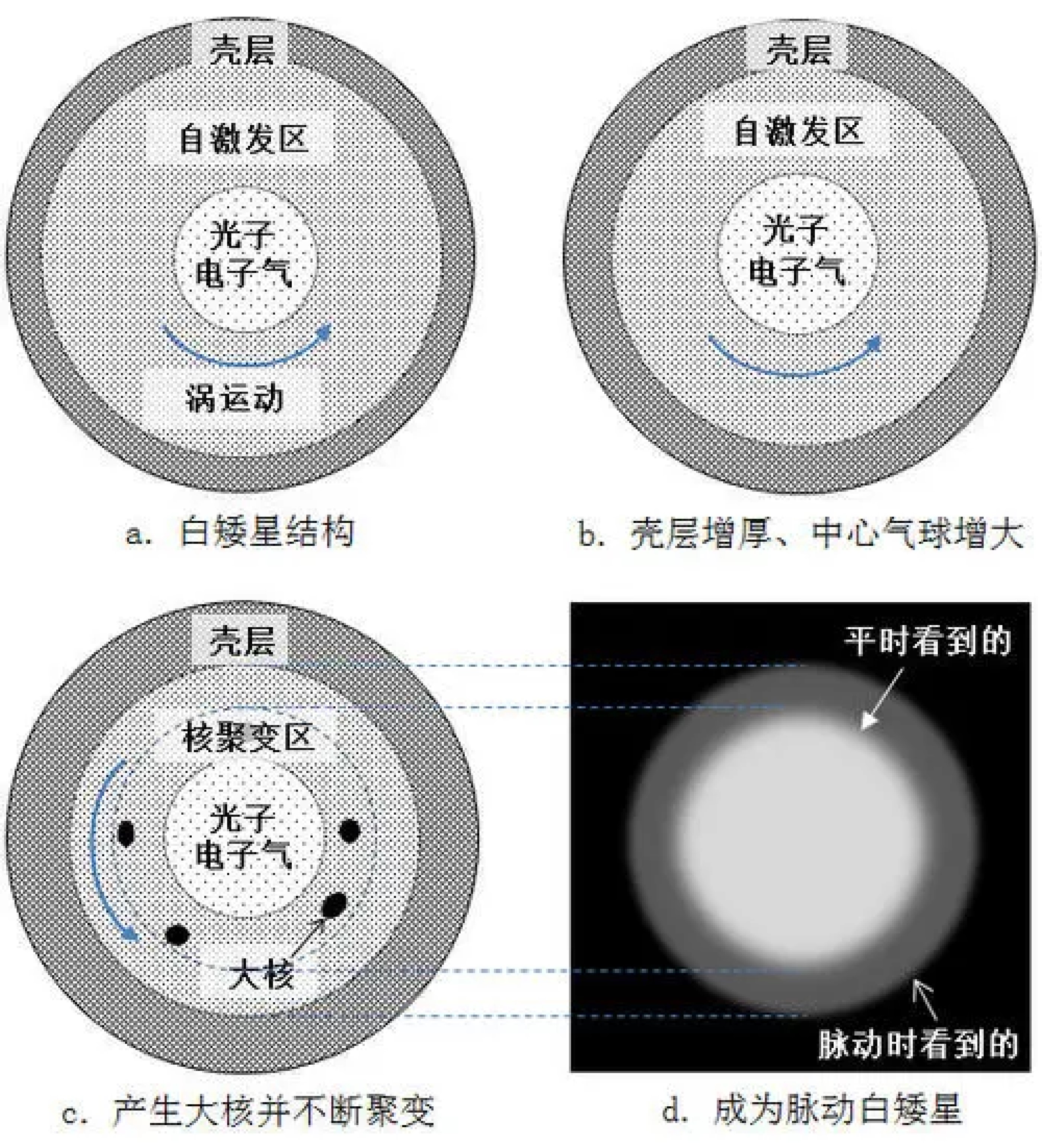 白矮星不断吞食伴星物质，增加自身质量，为啥体积反而变小呢？948 / 作者:刘moon / 帖子ID:130666