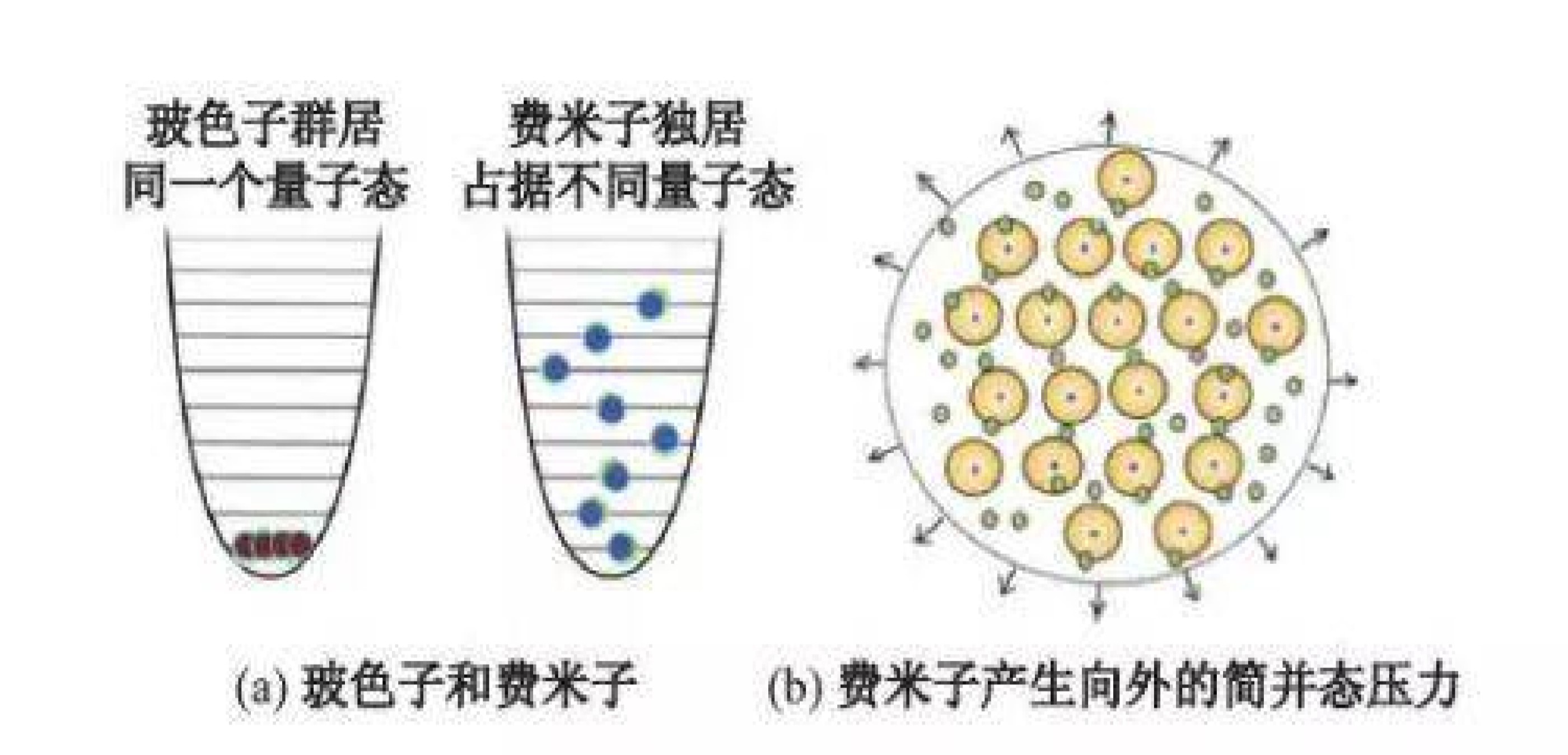白矮星不断吞食伴星物质，增加自身质量，为啥体积反而变小呢？313 / 作者:刘moon / 帖子ID:130666
