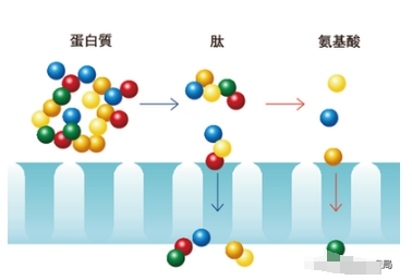 地球生命从哪里来？宇宙几乎不可能自然产生，但生命就在这里911 / 作者:零度2017 / 帖子ID:129516