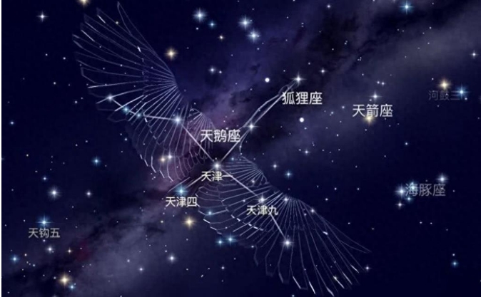 科学家接收到外星文明信号?距今有10000年,到底是真的吗?215 / 作者:aygx / 帖子ID:129762 科学家接收到外星文明信号?距今有10000年,到底是真的吗?215 / 作者:aygx / 帖子ID:129762
