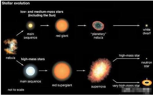 年龄超过137亿岁的白矮星穿越了时空？科学家：它们比宇宙还古老296 / 作者:断翅小蝶腥 / 帖子ID:130820