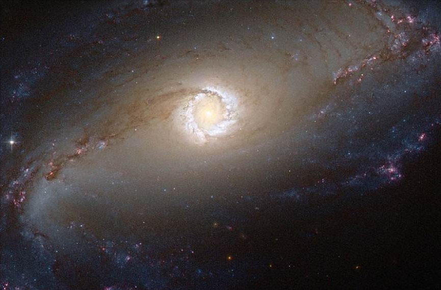 发现外星高级文明？天文望远镜观测到一颗怪异的恒星，引发猜测795 / 作者:德行天下853 / 帖子ID:130529