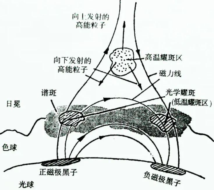 6月太阳耀斑猛烈爆发！持续近3个小时，地球会不会变得更加热？838 / 作者:断翅小蝶腥 / 帖子ID:130467