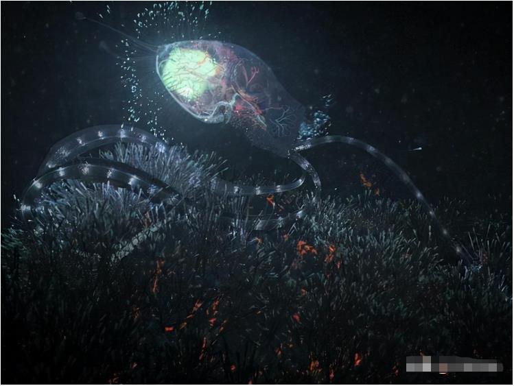 水是生物存在的必要条件吗？可能至少存在6种外星生命形态4 / 作者:janlinsa / 帖子ID:130577