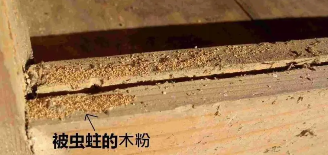 高达5光年的“柱子”，哈勃望远镜发现其在崩塌，因为有“蛀虫”350 / 作者:涵涵爸爸520 / 帖子ID:130555
