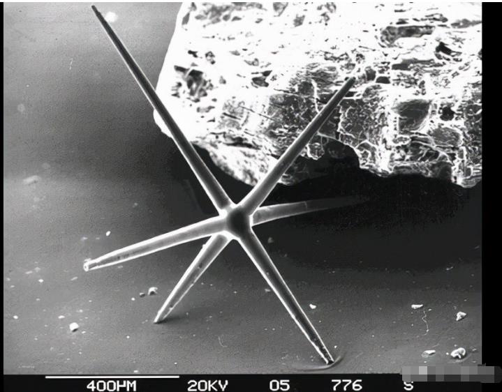 水是生物存在的必要条件吗？可能至少存在6种外星生命形态884 / 作者:janlinsa / 帖子ID:130577