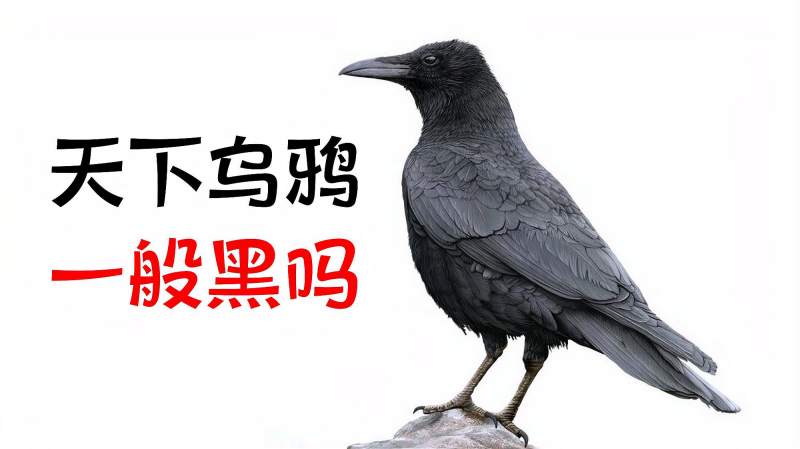 宇宙大爆炸，是科学理论还是仅仅是猜想？643 / 作者:刘moon / 帖子ID:130148