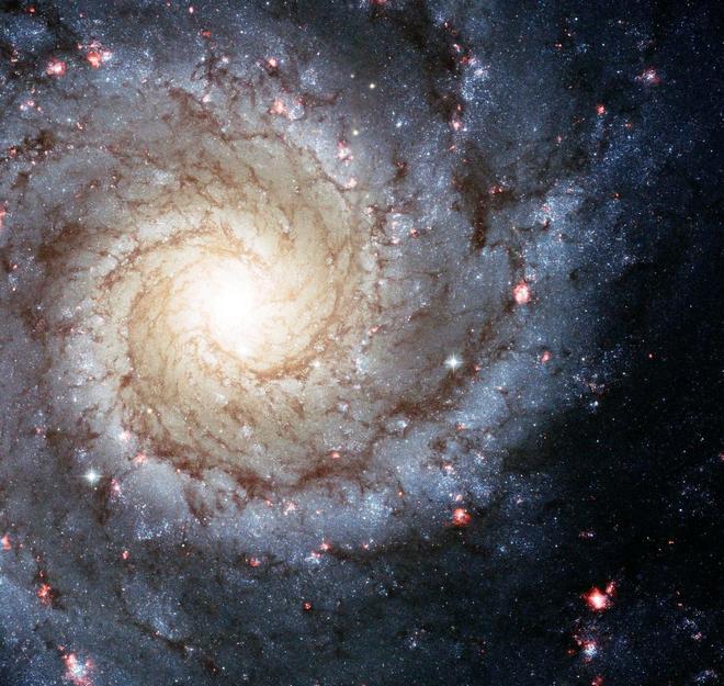 研究发现：银河系内可见夜空星星数量达9000颗496 / 作者:单丁鹤纷 / 帖子ID:130881