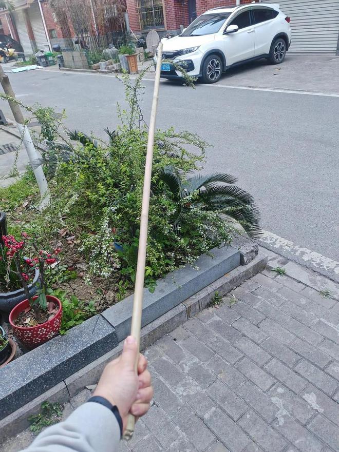 一根30万公里长的棍子挥舞时，末端速度能否超过光速？486 / 作者:单丁鹤纷 / 帖子ID:130879