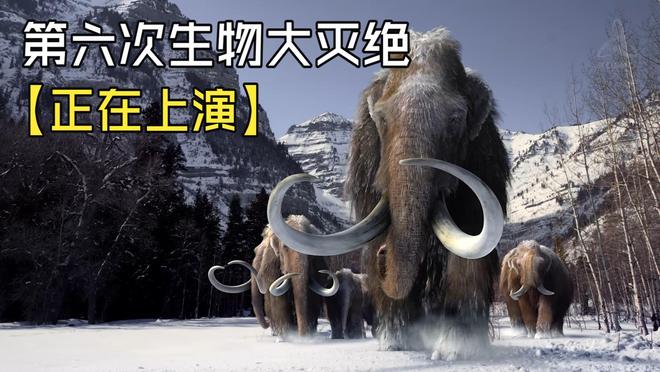 人类面临第六次大灭绝？地球无需拯救，该拯救的是我们自己659 / 作者:单丁鹤纷 / 帖子ID:130890