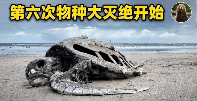 人类面临第六次大灭绝？地球无需拯救，该拯救的是我们自己564 / 作者:单丁鹤纷 / 帖子ID:130890