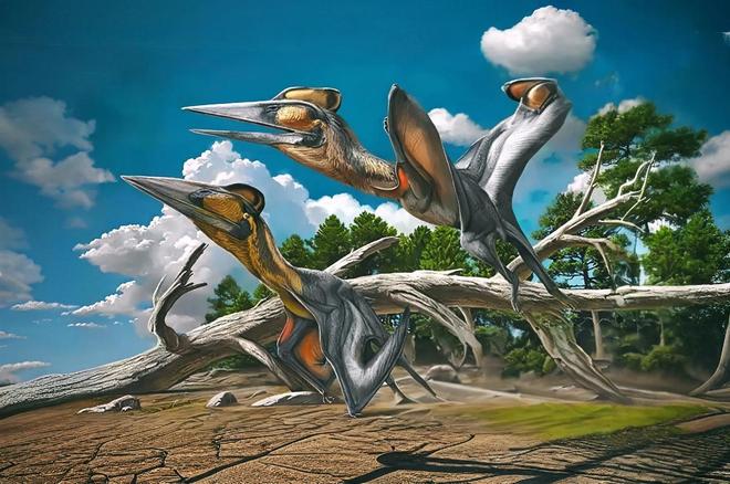 人类面临第六次大灭绝？地球无需拯救，该拯救的是我们自己251 / 作者:单丁鹤纷 / 帖子ID:130890