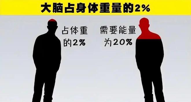 外星人不存在才是最可怕的：科学、哲学与人类未来的深层思考43 / 作者:张立武 / 帖子ID:131499