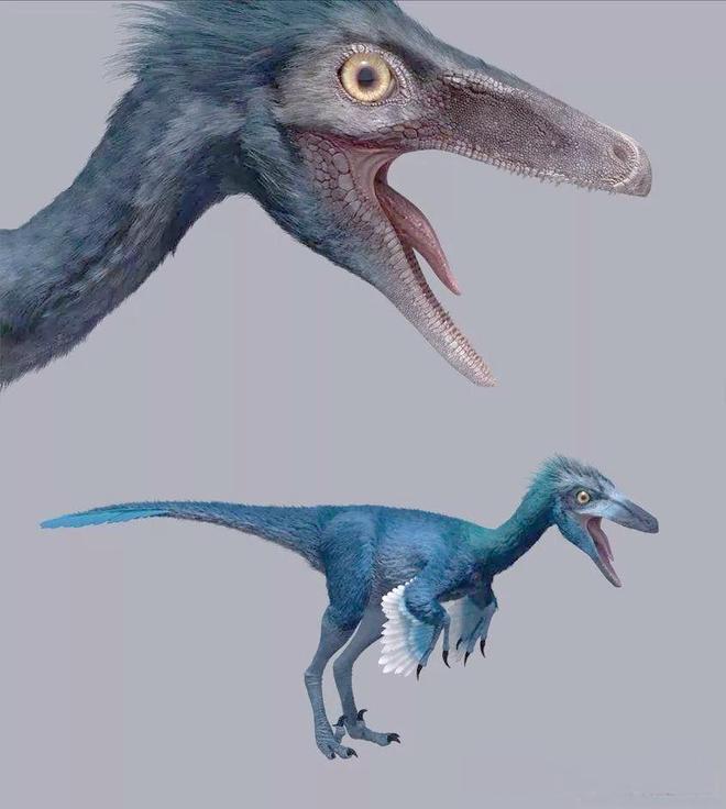 恐龙为何缺乏智慧？科学家揭示：高度发达的大脑实为生存负担317 / 作者:单丁鹤纷 / 帖子ID:130898