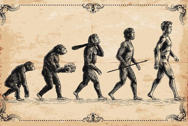 恐龙为何缺乏智慧？科学家揭示：高度发达的大脑实为生存负担752 / 作者:单丁鹤纷 / 帖子ID:130898