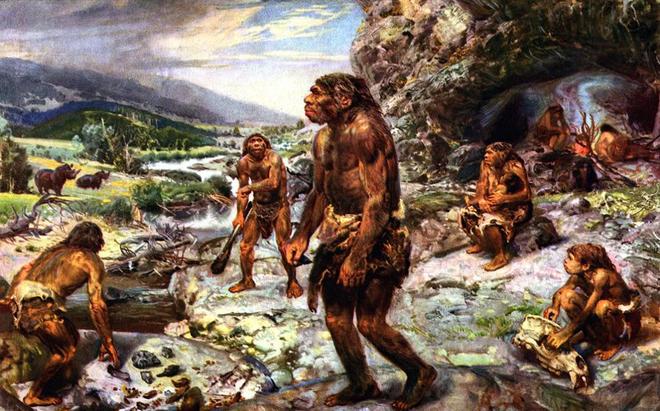 恐龙为何缺乏智慧？科学家揭示：高度发达的大脑实为生存负担315 / 作者:单丁鹤纷 / 帖子ID:130898