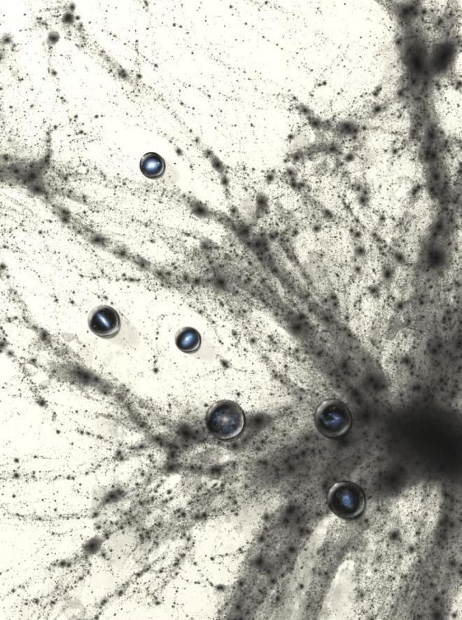 宇宙四级文明有多强大？人类科技仅0.7级743 / 作者:单丁鹤纷 / 帖子ID:130906