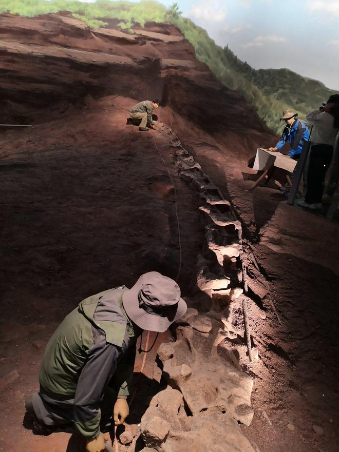 恐龙化石为何只在少数地区发现？其他地区真的没有恐龙吗？373 / 作者:单丁鹤纷 / 帖子ID:130909