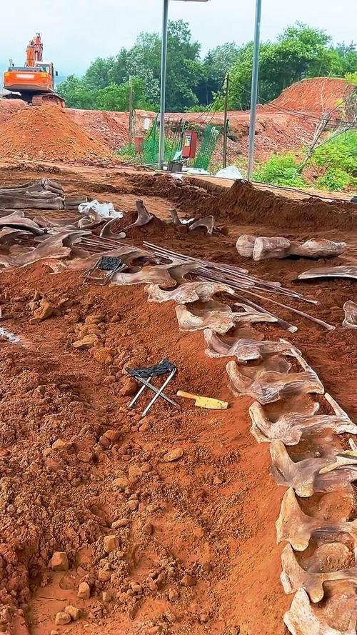 恐龙化石为何只在少数地区发现？其他地区真的没有恐龙吗？790 / 作者:单丁鹤纷 / 帖子ID:130909