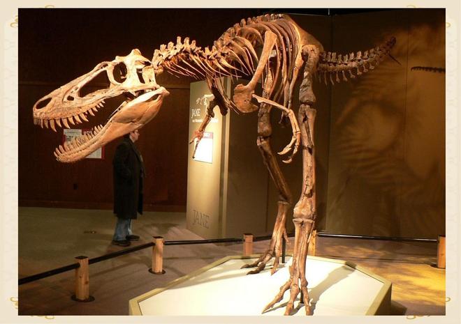 恐龙化石为何只在少数地区发现？其他地区真的没有恐龙吗？344 / 作者:单丁鹤纷 / 帖子ID:130909