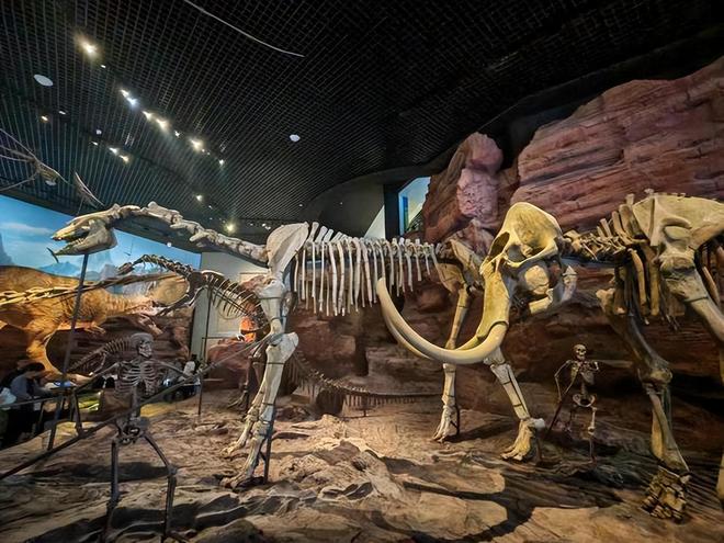 恐龙化石为何只在少数地区发现？其他地区真的没有恐龙吗？782 / 作者:单丁鹤纷 / 帖子ID:130909