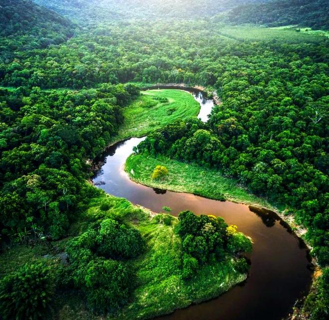 恐龙化石为何只在少数地区发现？其他地区真的没有恐龙吗？637 / 作者:单丁鹤纷 / 帖子ID:130909