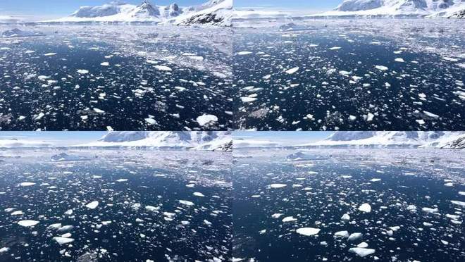 如果南极冰川全部融化，地球将发生什么变化？319 / 作者:单丁鹤纷 / 帖子ID:130908